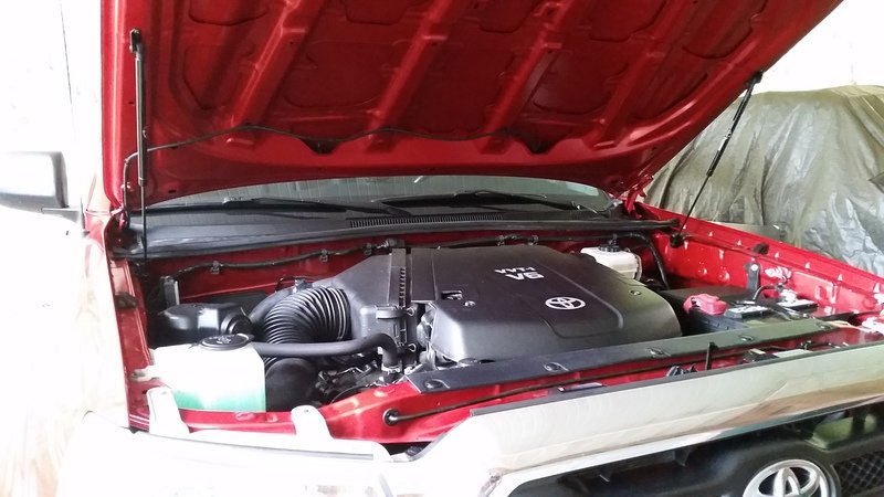 Hood%20struts_zpsiqraezni_7a2c16c43bf19c98f46226e97aa2da51113ec67a.jpg
