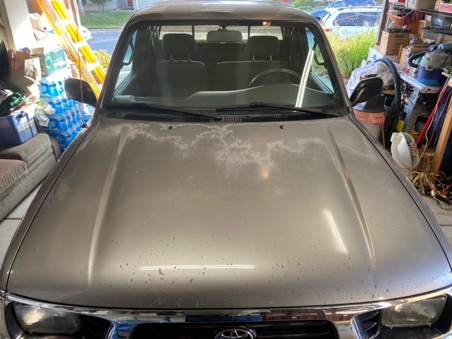 hood clearcoat.jpg