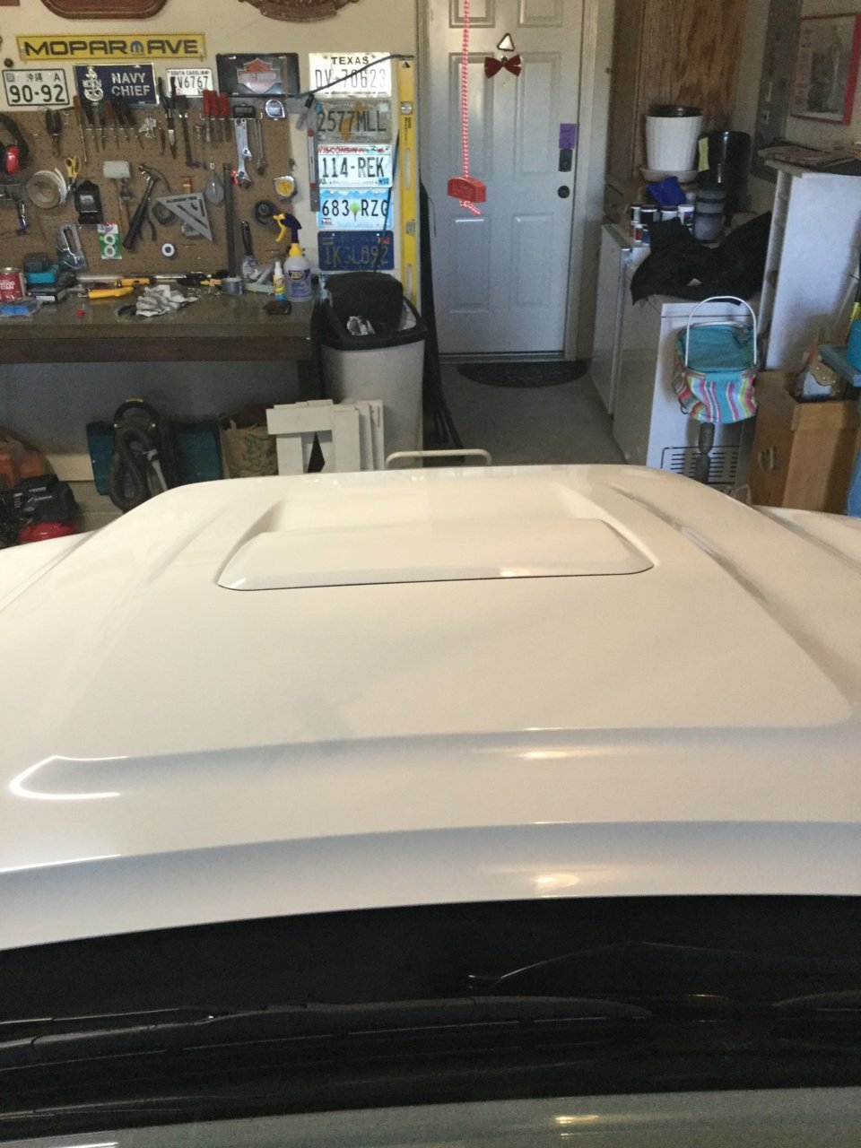 Hood no decal.jpg