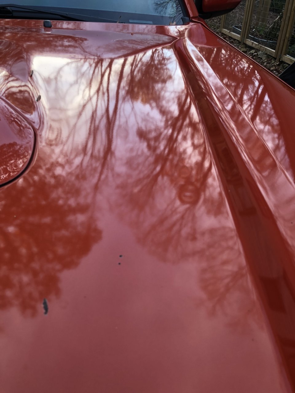 Hood Paint Chip 1.jpg