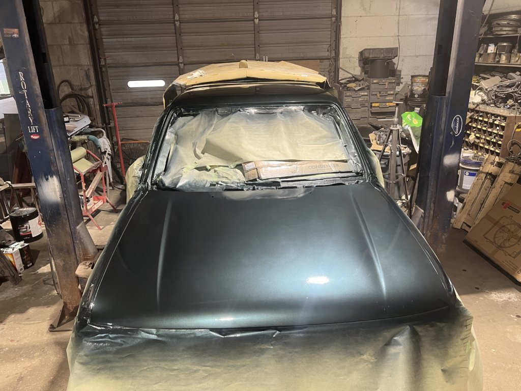 Hood painted.jpg