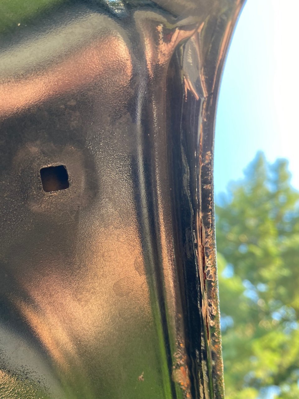 Hood rust.jpg