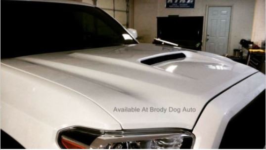 Hood Scoop 01.jpg