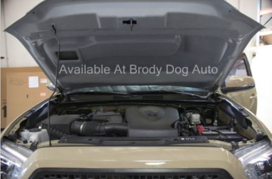 Hood Scoop 02.jpg