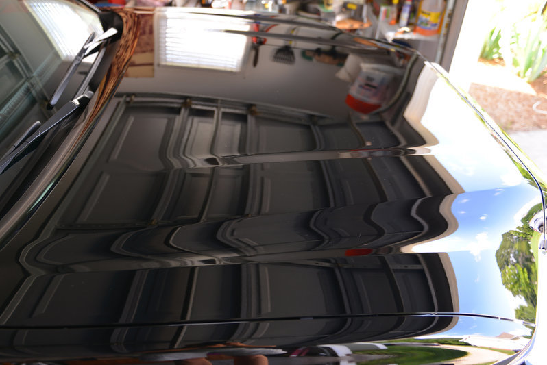 Hood wax 4.jpg