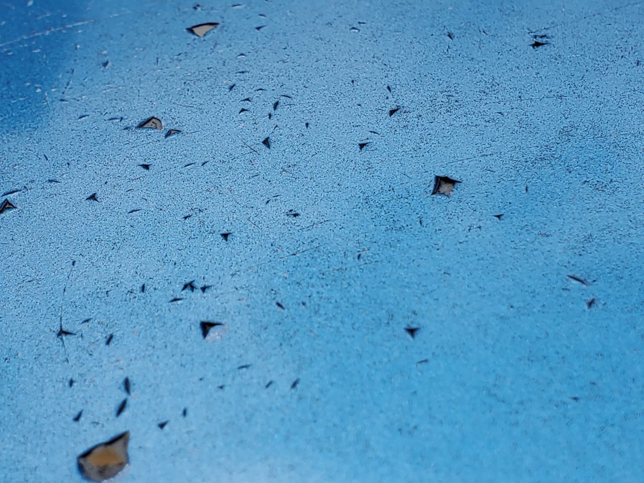 hood with no clear coat.jpg