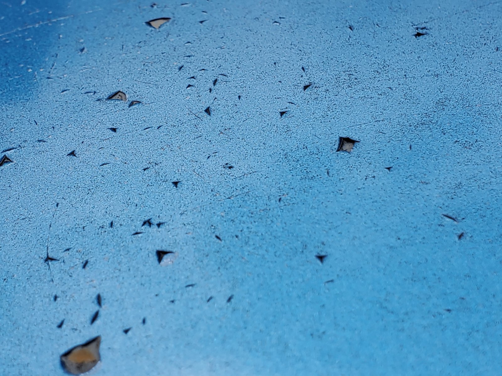 hood with no clear coat.jpg