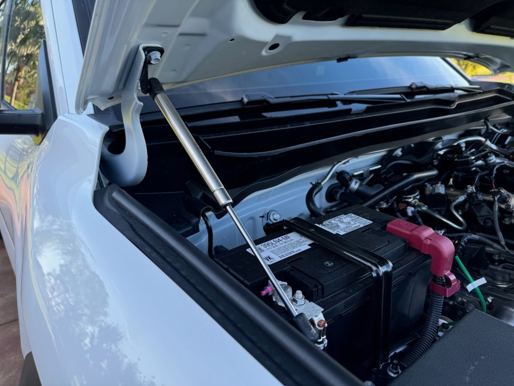 Hood_struts1.jpg