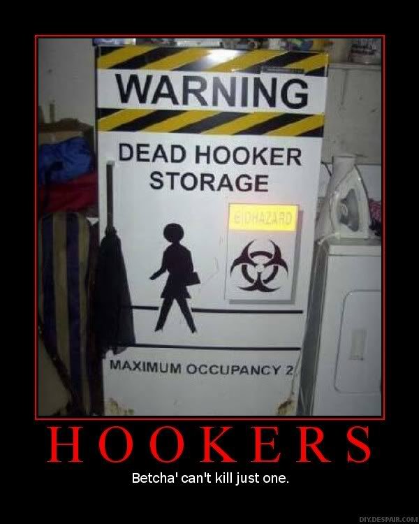 hookerstorage_b430d7cf3465677758acb0856858fb53758dbf22.jpg