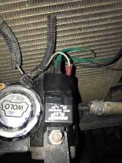 Horn 3.jpg