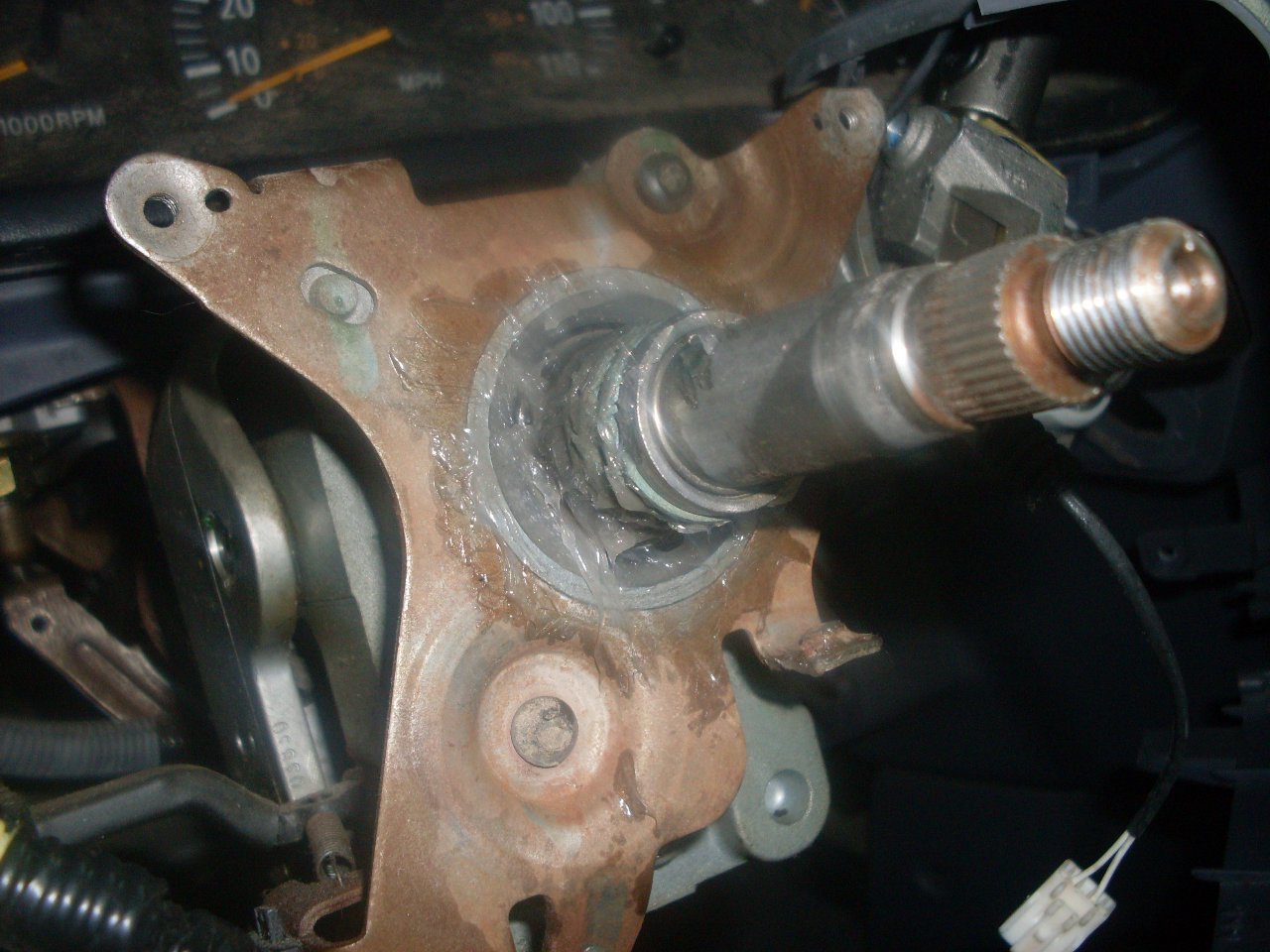 horn005.jpg