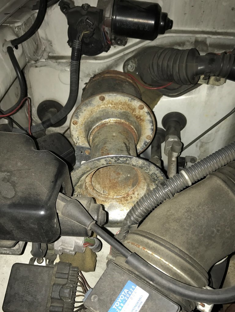 Horn1.jpg