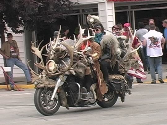 hornsbike_f1aa2edab4baddb5747fd2e21b5a62295e894871.jpg