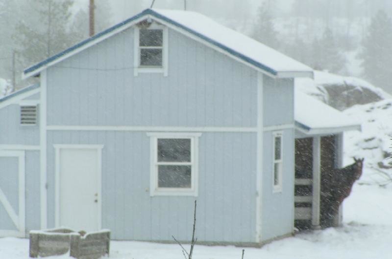 HORSE BARN.jpg