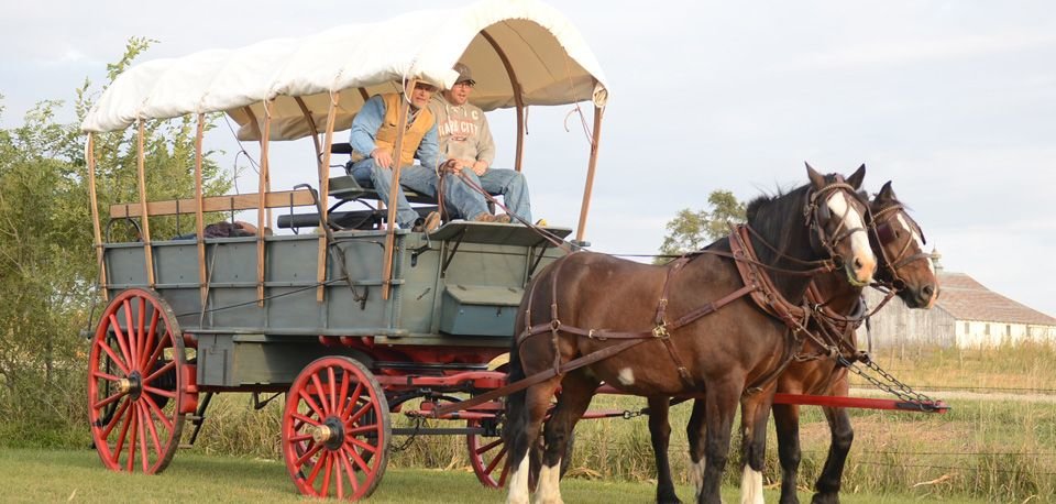 horse_drawn_covered_wagon__full-image.jpg