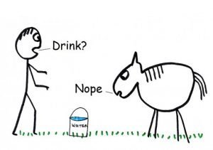 horse_water_nope.jpg