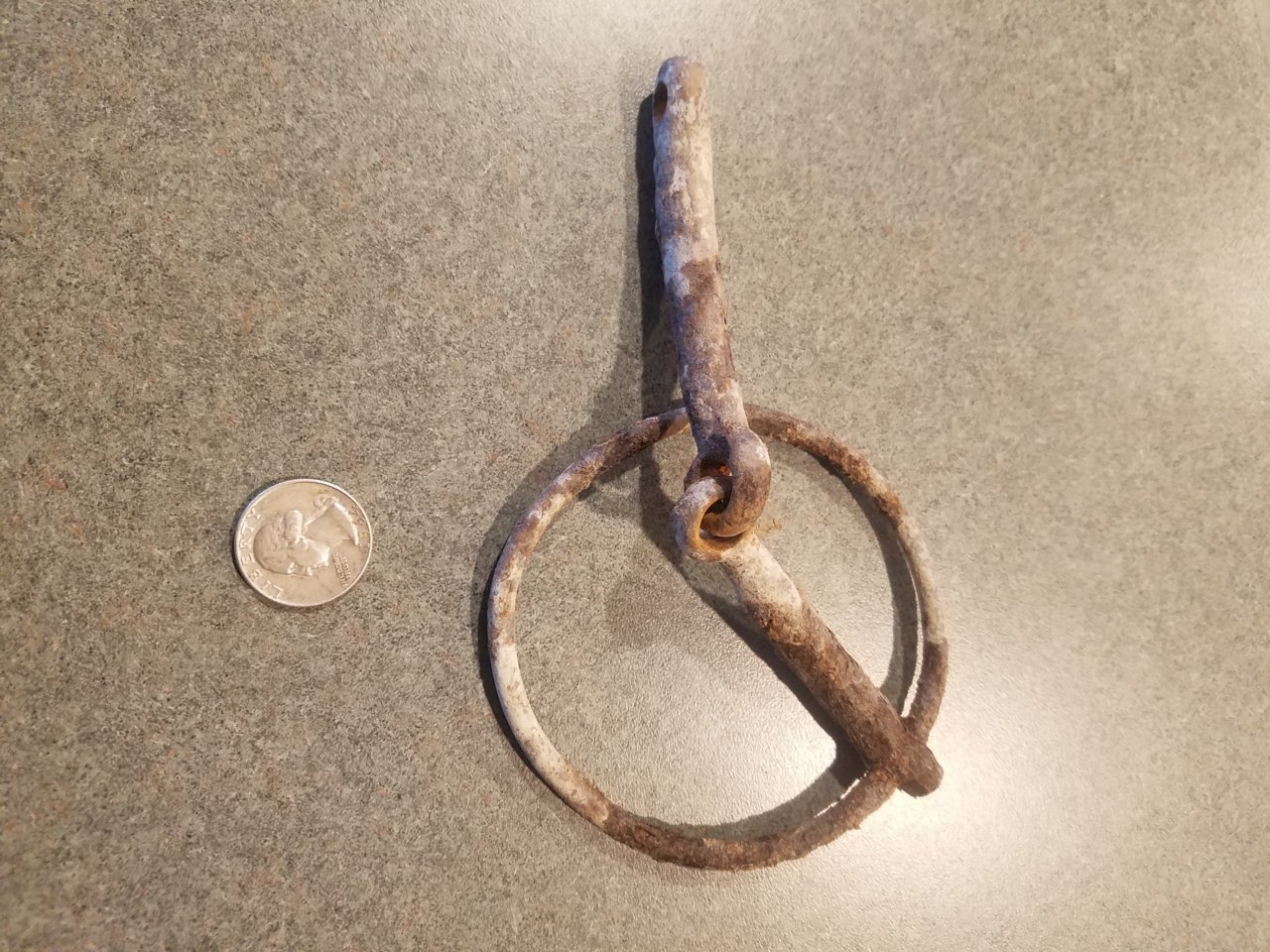 HorseBit1.jpg