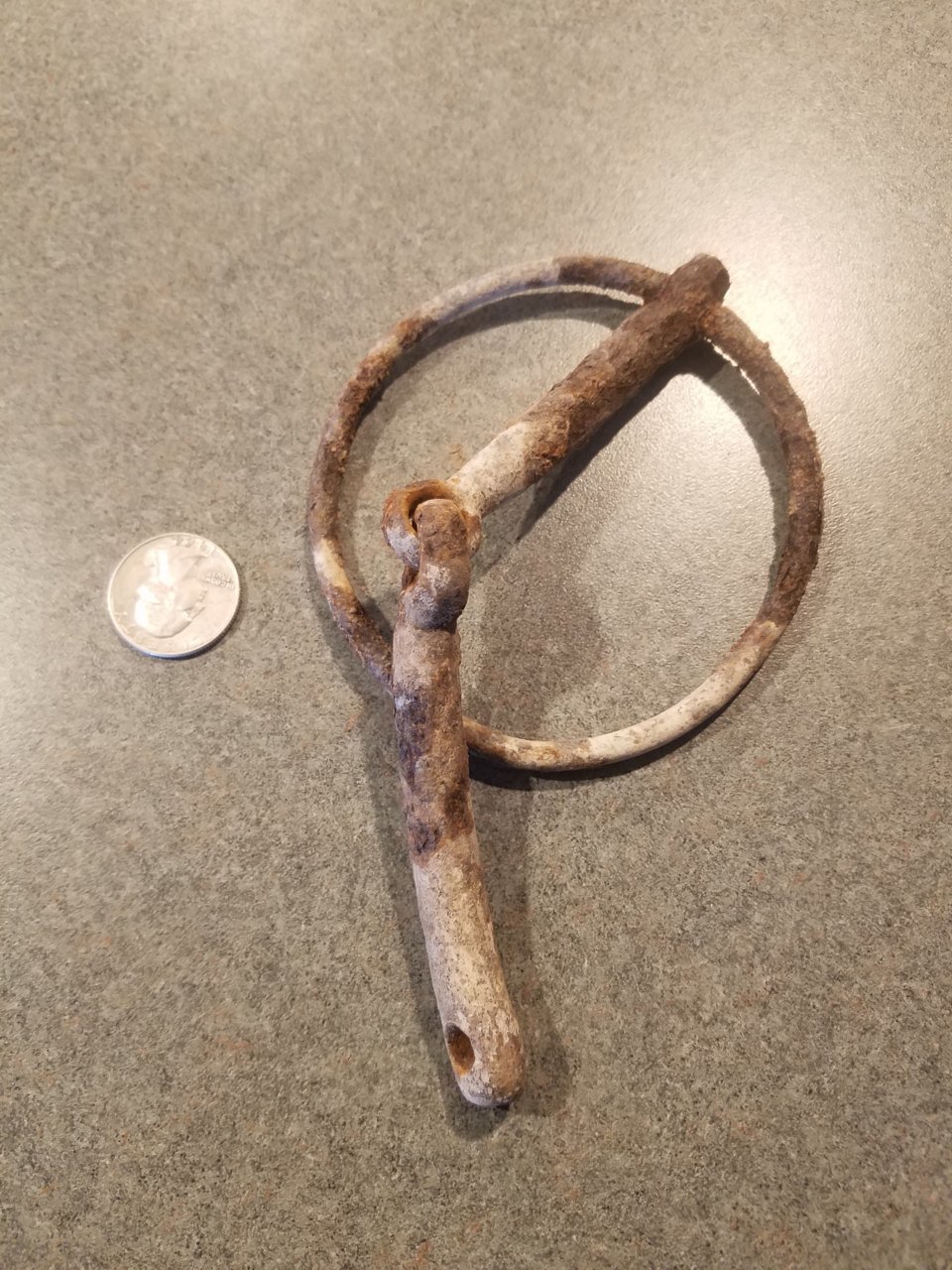 HorseBit2.jpg