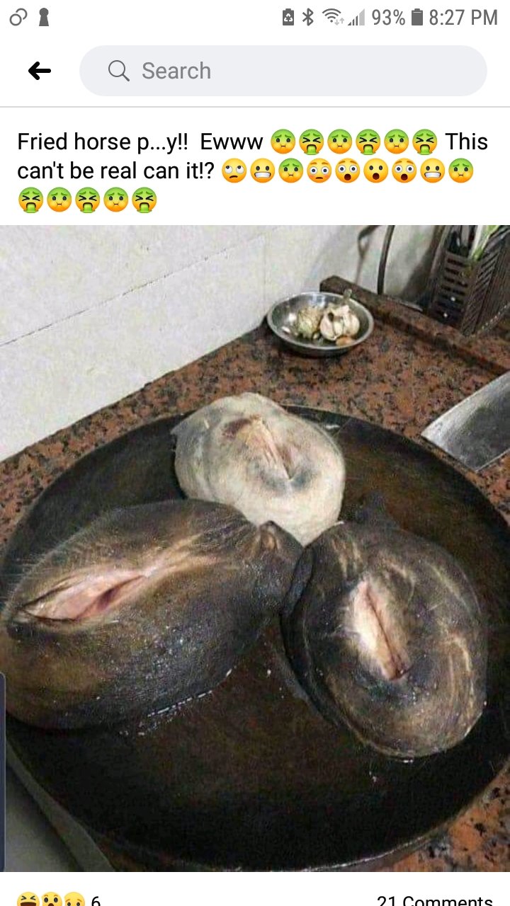 Horsepus.jpg