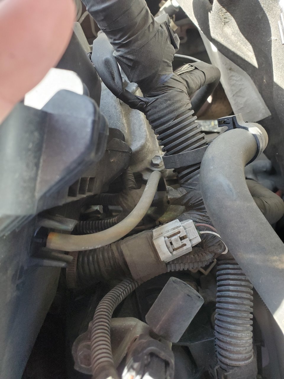 Hose.jpg