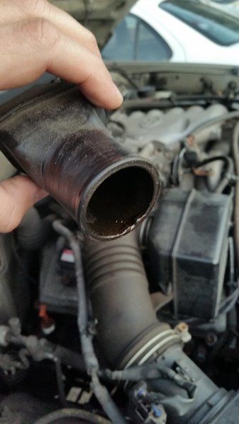 hose2.jpg