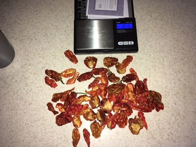 Hot Goat Cheest Habaneros.jpg