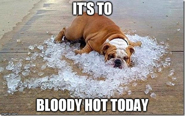 hot-weather-bloody-meme.jpg