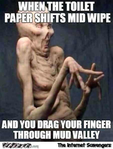 how-to-wipe-with-toilet-paper-when-the-toilet-paper-shifts-mid-wipe-funny-meme.jpg