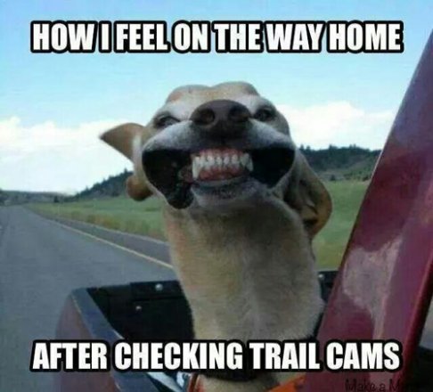 How-you-feel-after-checking-trail-cameras-hunting-meme.jpg