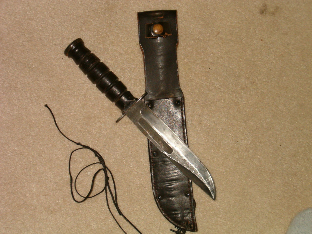 HPIM4519.jpg