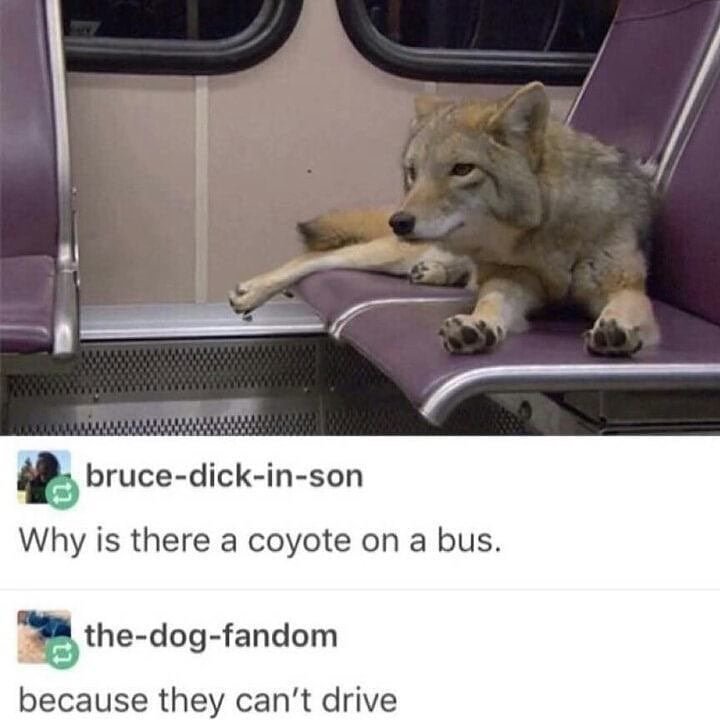 hpjxukq77ce21.jpg