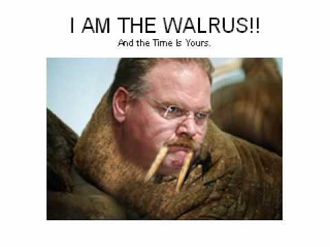 hqdefault.jpg