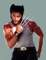 hughWolverine.jpg