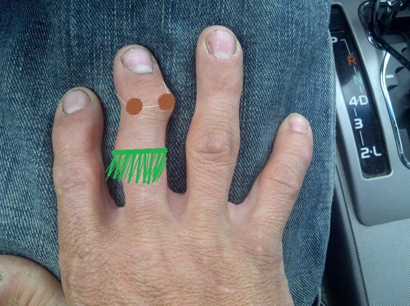 hulafinger_fa2bdbc5a6f99060ff85072f93e2ccf9e6e524c1.jpg