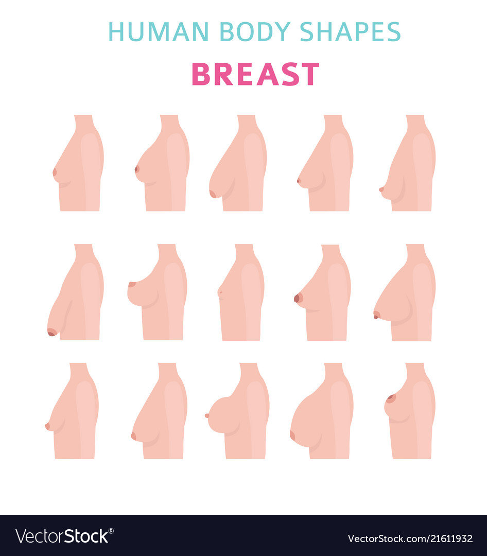 human-body-shapes-woman-breast-form-set-vector-21611932.jpg