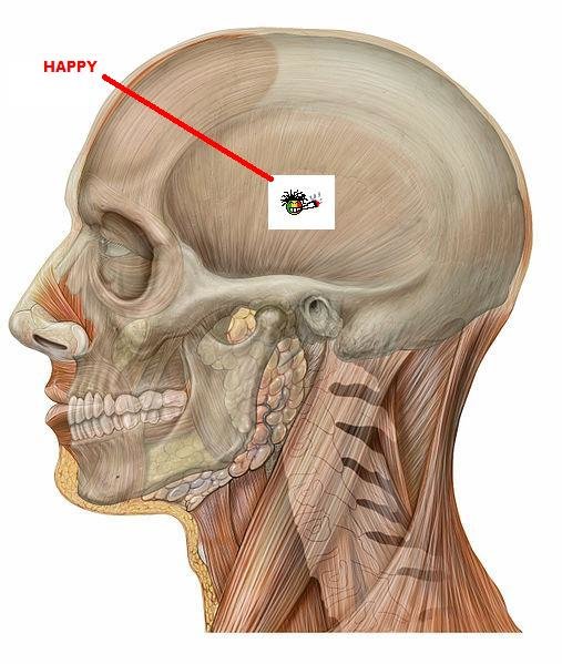 human_skull_man.jpg