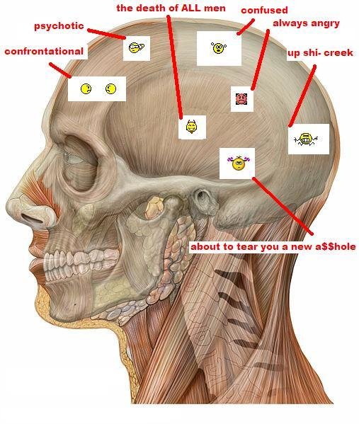 human_skull_women.jpg