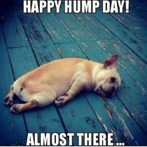 Hump day almost there.jpg