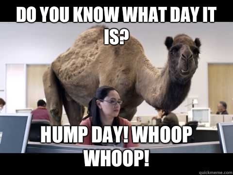 hump day.jpg