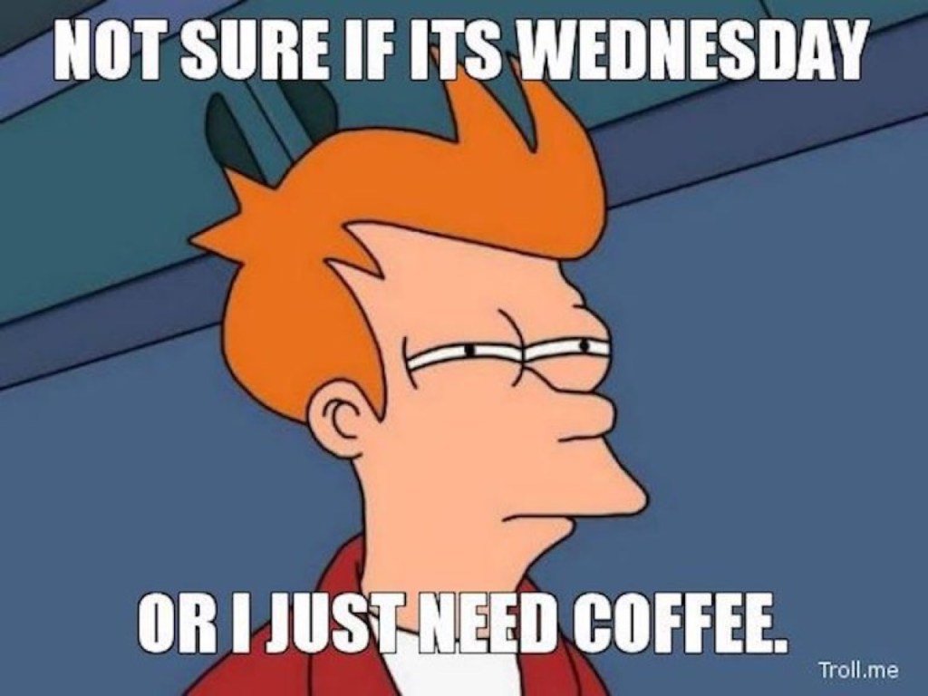 Hump day.jpg