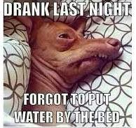 hungover.jpg