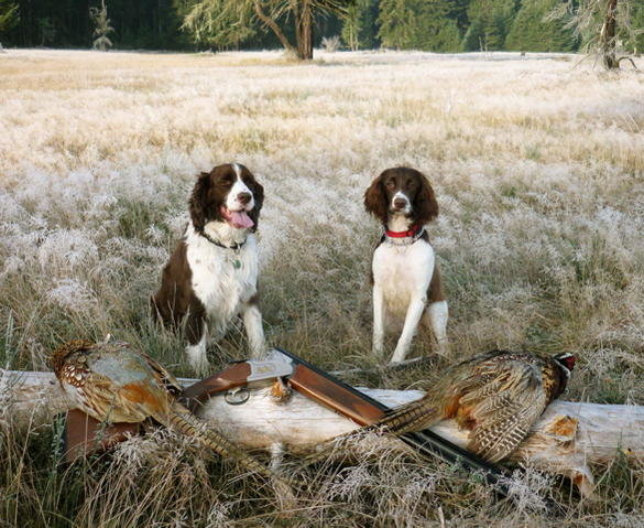 Hunt 09.jpg