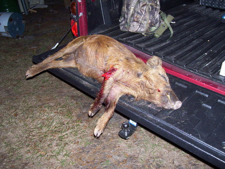 hunting camp 008.jpg