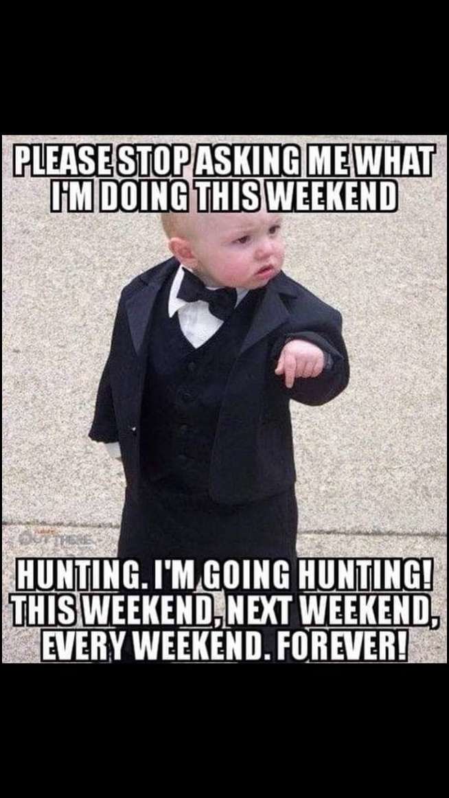 hunting.jpg