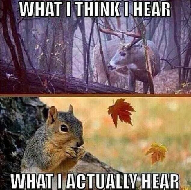 hunting.jpg