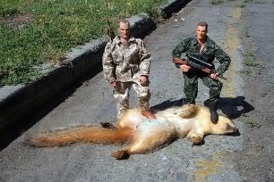 hunting_0627c4e03f2ab8234a75a242353cacfdfc3cb4f4.jpg