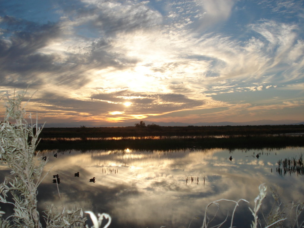 hunting_11-_2_0151_8c4e2db78d7ae66962e06bb58fb614a8a07389b3.jpg