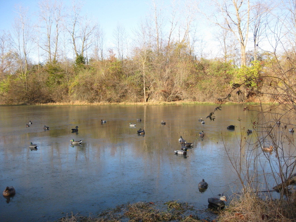 huntingwithmader007_9a5e2909f546498b0e8302bc85eaec64205a4d96.jpg