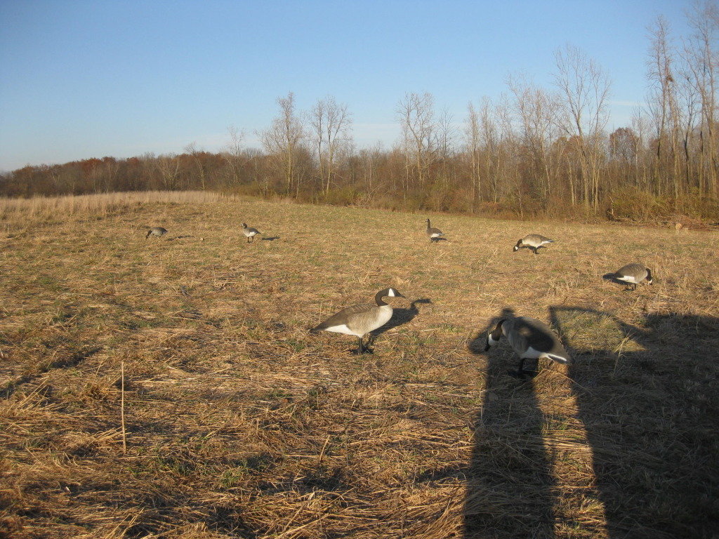 huntingwithmader049_237bb32fa421c1200156a992090737b17fe6d8c2.jpg