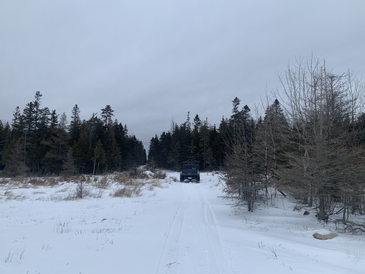 Huron 2.jpg